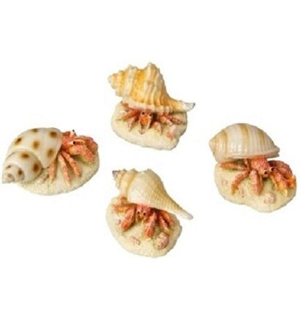 [400582-1] Aqua D'Ella Hermit Crab for Aquariums 9.3x6x4.9cm