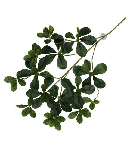 [205386-1] Terra D'Ella Hanging Plant Aralia - GREEN/60X30X6CM