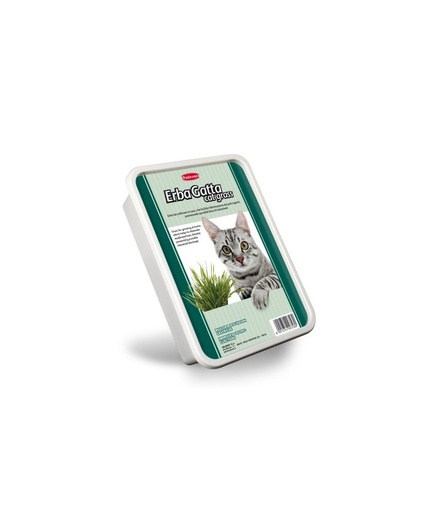[PP00358] Padovan Erbagatta Cat Grass