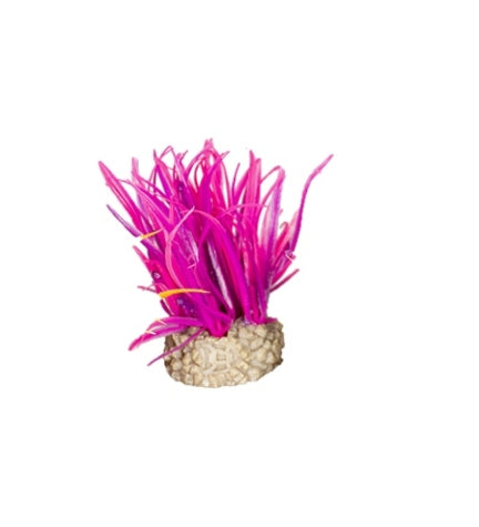 [407071-3] Aqua D'Ella Artificial Hair Grass Plant - RED/6CM