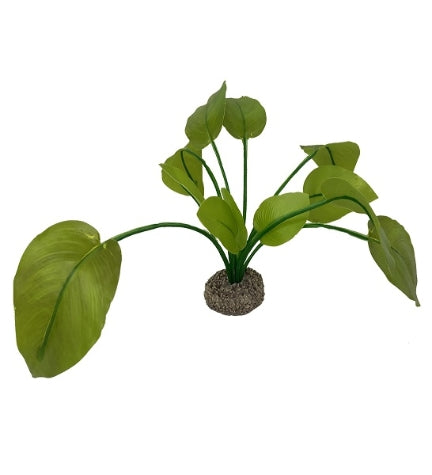 [406889-1] Aqua D'Ella Anubias 2 - GREEN/17CM