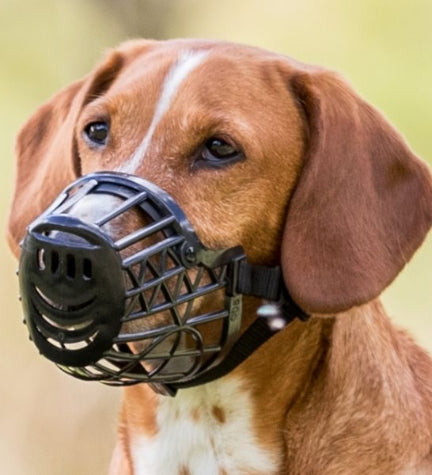 [200688-3] Trixie Plastic Black Muzzle for Dogs Small