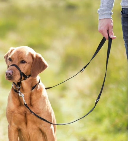 [201113-1] Trixie Top Trainer Black Headcollar for Dogs L-XL 37cm