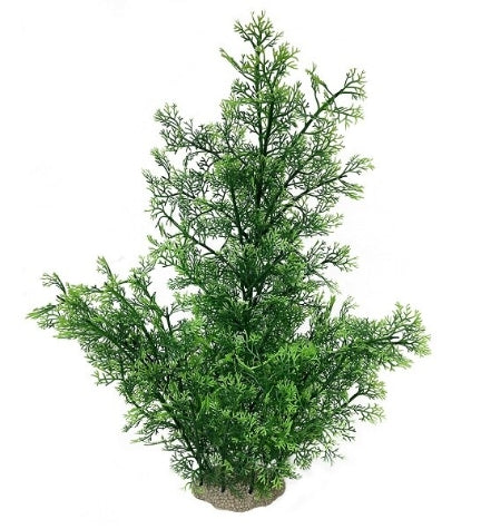 [406882-1] Aqua D'Ella Phoenix - GREEN/56CM