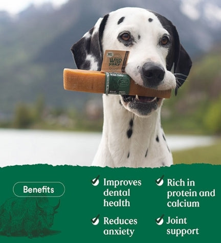 [103064-3] Wild Balance Wild Yaky Original Himalayan Dog Chew - LARGE