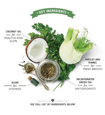 [101164-2] Lily's Kitchen Woofbrush Dental Dog Chews Bulk Pack - MEDIUM