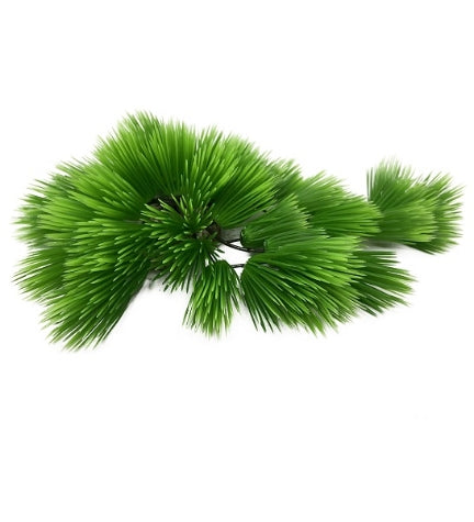 [406890-1] Aqua D'Ella Eleocharis - GREEN/22CM