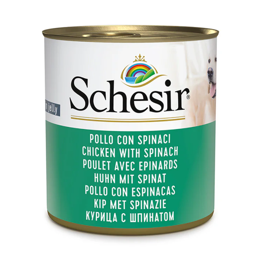 [C01064728] Schesir Dog Wet Food in Jelly Can-Chicken With Spinach 285g 