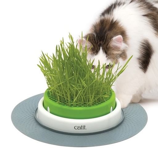 [HA43161W] Hagen Catit Senses 2.0 Grass Planter