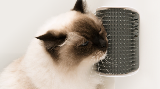 [HA43152W] Hagen Catit Senses 2.0 Self Groomer