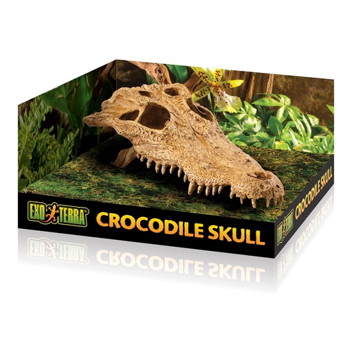 [HAPT2856] Hagen Crocodile Skull Decor for Terrarium