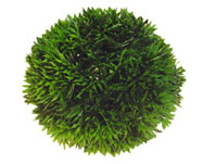 [HO41540] Hobby Aquarium Decor Artificial Plant Plant Ball Small 9cm