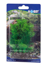 [HO41510] Hobby Artificial Plant - Egeria 13 cm