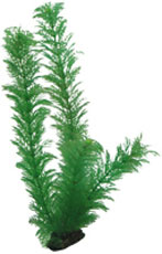 [HO41512] Hobby Artificial Plant Egeria 34 cm