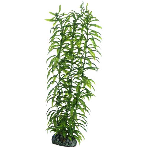 [HO51567] Hobby Artificial Plant Heteranthera Large
