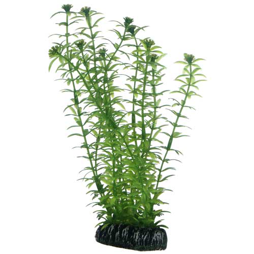 [HO51574] Hobby Artificial Plant Lagarosiphon
