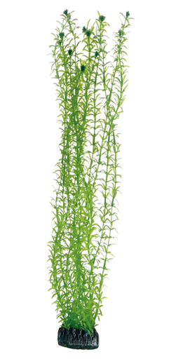 [HO51576] Hobby Artificial Plant Lagarosiphon 60cm