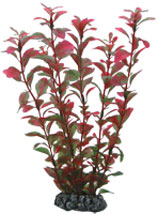 [HO41516] Hobby Artificial Plant Ludwigia 25cm