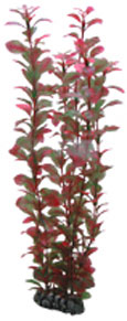[HO41520] Hobby Artificial Plant Ludwigia 34cm