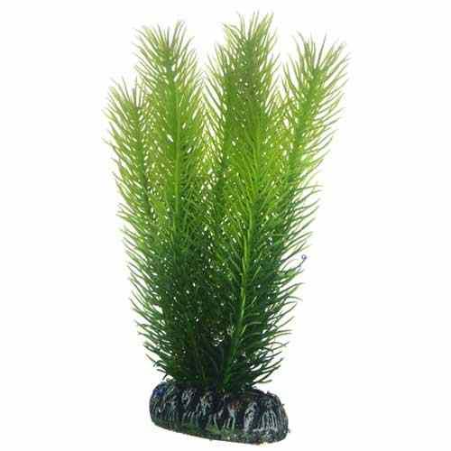 [HO51585] Hobby Artificial Plant Mayaca Medium