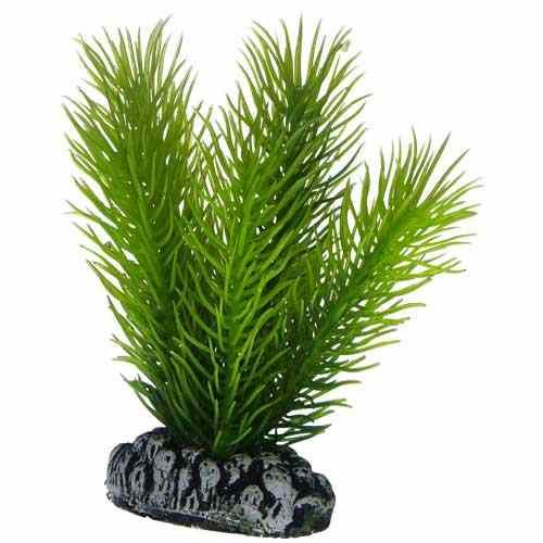 [HO51584] Hobby Artificial Plant Mayaca Small