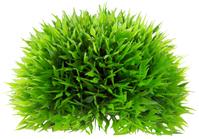 [HO41542] Hobby Artificial Plant - Plant Ball Medium