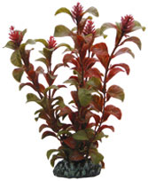 [HO41514] Hobby Artificial Plant Rotala 16cm