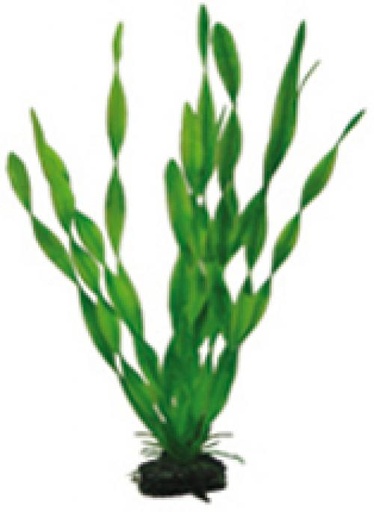 [HO41508] Hobby Artificial Plant Vallisneria 34cm