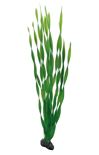 [HO41505] Hobby Artificial Plant Vallisneria 60cm