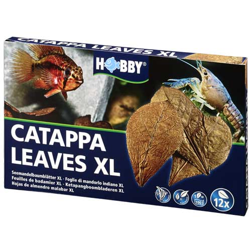 [HO51105] Hobby Catappa Leaves 12pcs XL