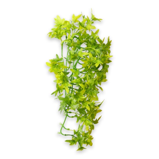 [HO37014] Hobby Climber Ivy 37cm