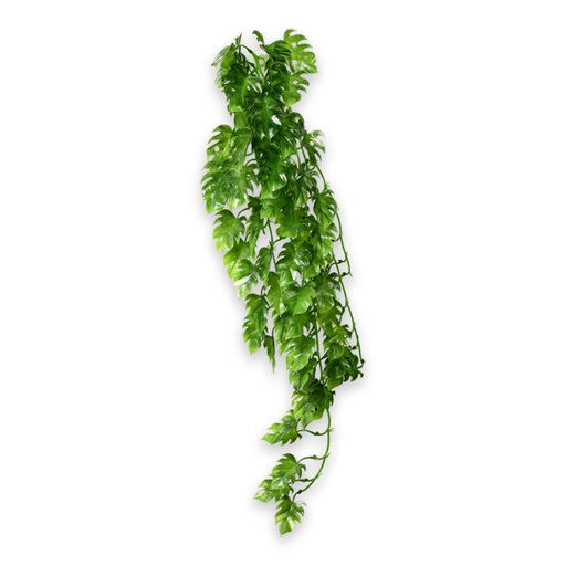 [HO37017] Hobby Climber Philo 70cm