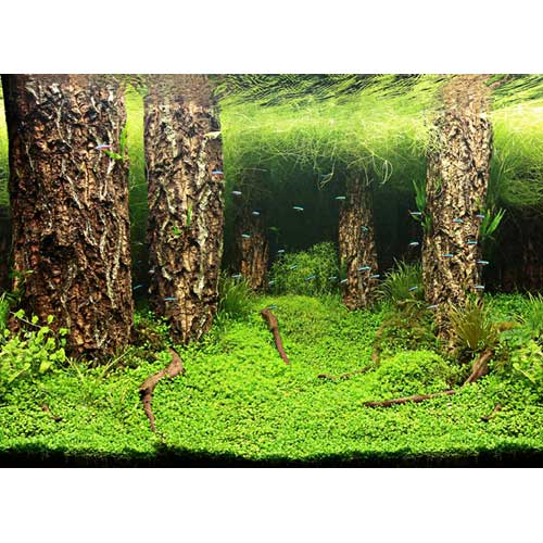 [HO31031] Hobby Photo Background Scaper's Hill/Scaper's Forest 100x50cm
