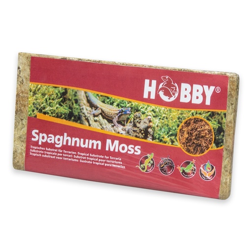 [HO34170] Hobby Spaghnum Moss 100gm