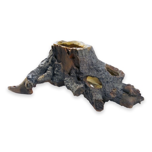 [HO41483] Hobby Stump Cavity 2