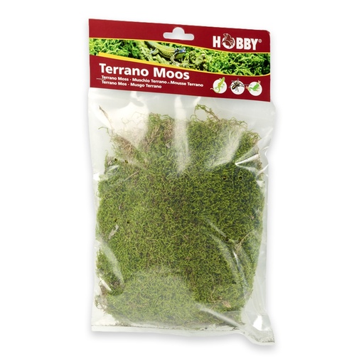 [HO34095] Hobby Terrano Natural Moss
