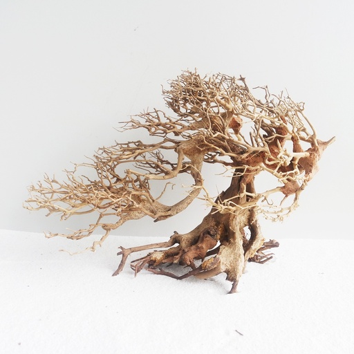 [MJDR08-17-DM] Sv Aquarium Deco Romantic Bonsai Wood - Medium - 30X23X13cm - Box