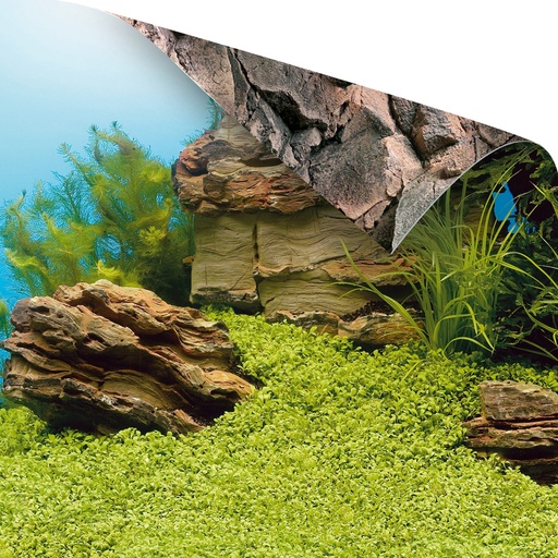 [JU86250] Juwel Poster 1 Size 60x30cm Small