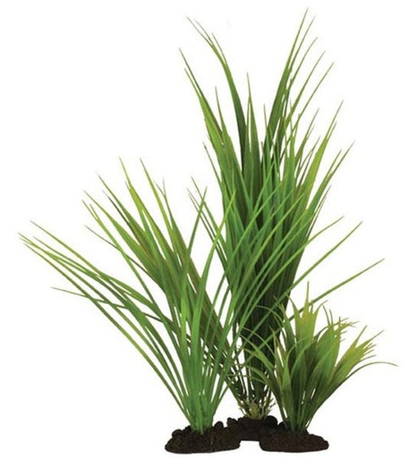 [407885-2] Hugo Kamishi Variegated Rush Aquarium Plant Décor - GREEN/40CM
