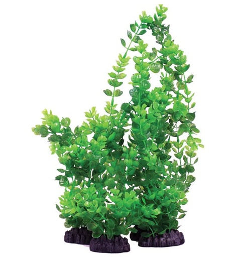 [407873-1] Hugo Kamishi Rotala Indica Aquarium Plant Décor - GREEN/20CM