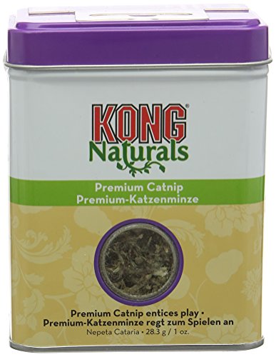 [201403-1OZ] Kong Cat Premium Catnip 1oz