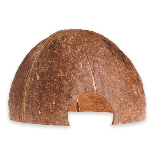 [CAVE] Coconut Shell Aquarium Cave for Catfish Eel Invertebrates