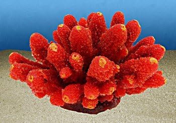 [NI-13D] Nature's Image Replica Coral  Humilis Red -Acropora Humilis 4x5x3 Inch. -NI-13D