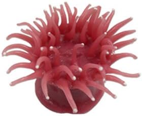 [NI-141A] Nature's Image Replica Coral, Big Foot Anemone Red -Macrodactyla Doreensis 3.55x3.5x2 Inch. -NI-141A