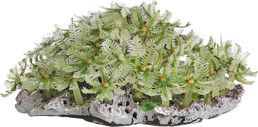 [NI-121A] Nature's Image Replica Coral, Clove Polyp - Large Rock Green -Clavularia 7x6.5x3 NI-121A