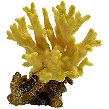 [NI-09D] Nature's Image Replica Coral Porites Cylindrica Yellow 3.5x5x5inch NI-09D
