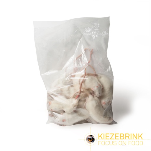 [KI84311] Kiezebrink Regular Rats Eco Pack 150-250gm 5pcs