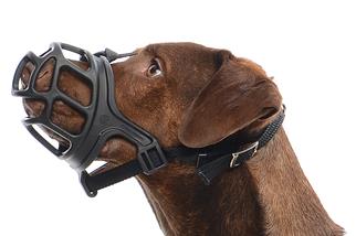 [KR272355] Kruuse Muzzle Size 5