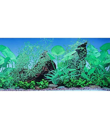 [F8-12] KW Zone Aquarium Backscreen 12"x15M F8