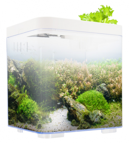 [BT119] KW Zone Dophin Mini Betta Tank Kit Without Temperature Display 7L